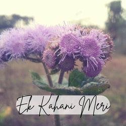 Ek Kahani Meri