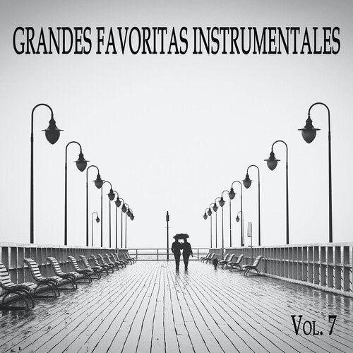 Vaquero De Media Noche-okv tunes