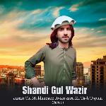 Janan Chi Mukhamakh Roshi Zara Mi Tash Topina Owakh