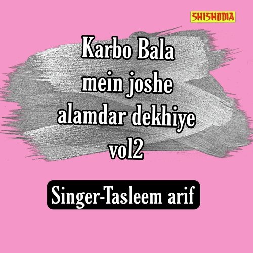 Karbo Bala Mein Joshe Alamdar Dekhiye 02