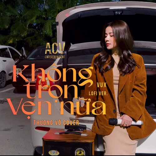 Không Trọn Vẹn Nữa (Lofi Cover)_poster_image