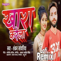 Khara Karela Lofi Remix