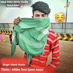 Milba Tera Gaon Aaun (Rajasthani)
