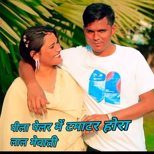 पीला पेलर में टमाटर होरा लाल मेवाती