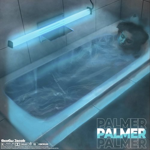 Palmer cover art