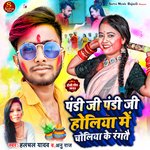 Pandi Ji Pandi Ji Holiya Me Choliya Ke Rangtai