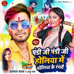 Pandi Ji Pandi Ji Holiya Me Choliya Ke Rangtai