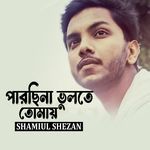 Parchina Bhulte Tomay