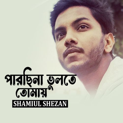 Parchina Bhulte Tomay (Lofi Remix)