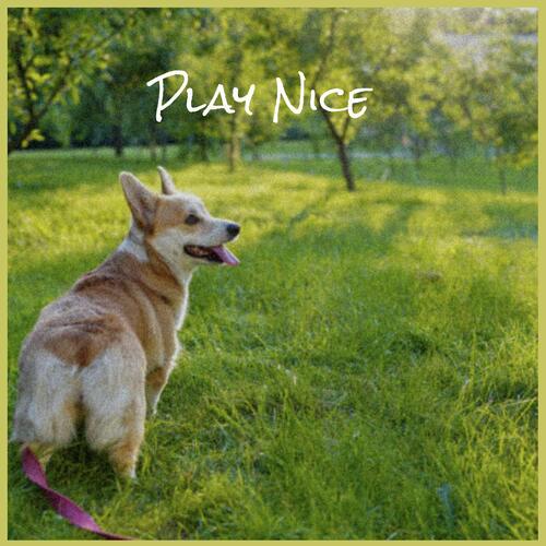 Play Nice