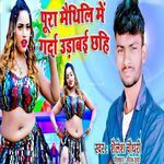 Pura Maithili Me Garda Urabai Chhahi