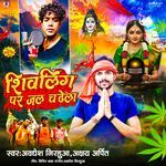 Shivling Par Jal Chadhela