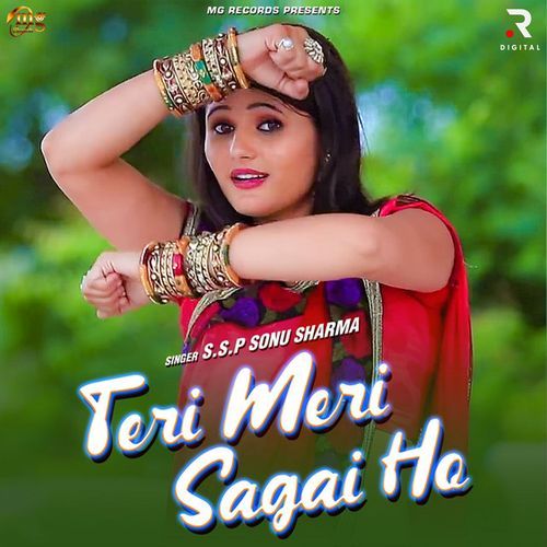 Teri Meri Sagai Ho