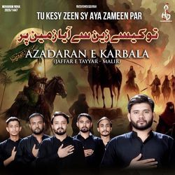 Tu Kesy Zeen Sy Aya Zameen Par