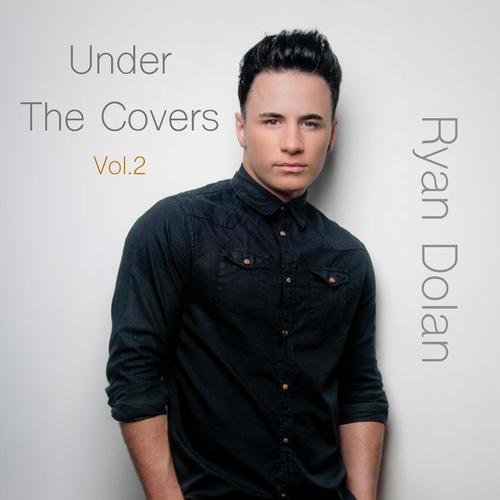 Under the Covers, Vol. 2_poster_image