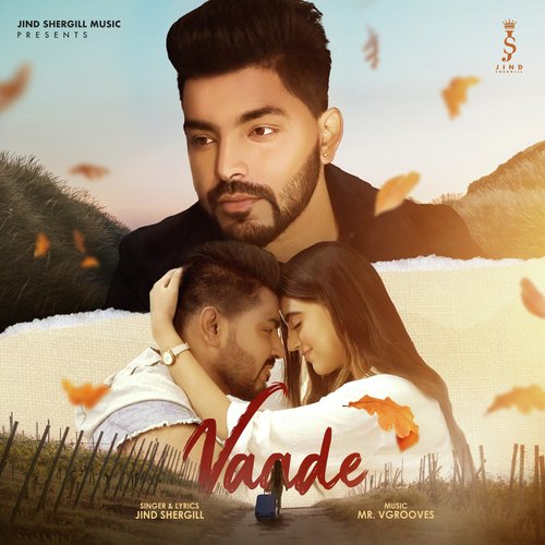Vaade cover art