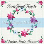 Violoncello Concerto in D Major, Op. 101: I. Allegro Moderato