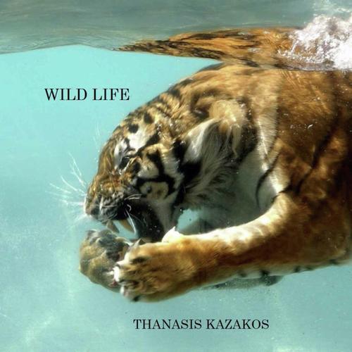 Wild Life cover art