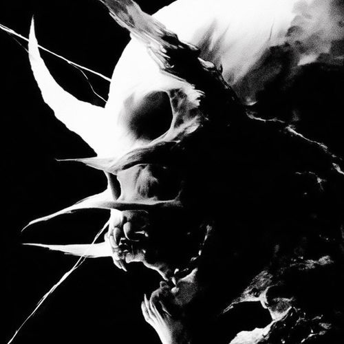 mandragora (Slowed) cover art