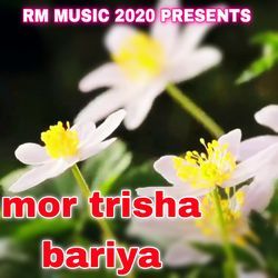 mor trisha bariya