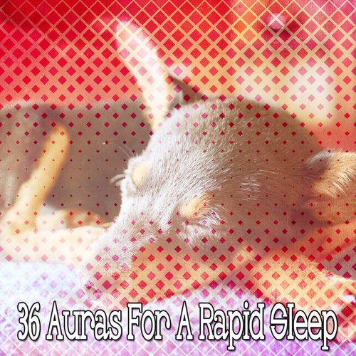 36 Auras For A Rapid Sleep