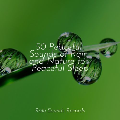 50 Peaceful Sounds of Rain and Nature for Peaceful Sleep