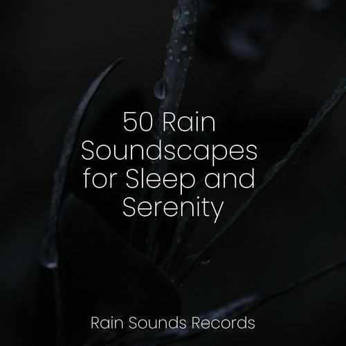 50 Rain Soundscapes for Sleep and Serenity