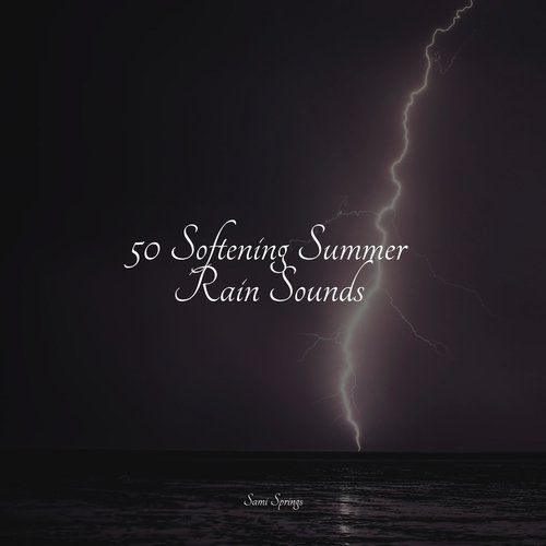 50 Softening Summer Rain Sounds_poster_image