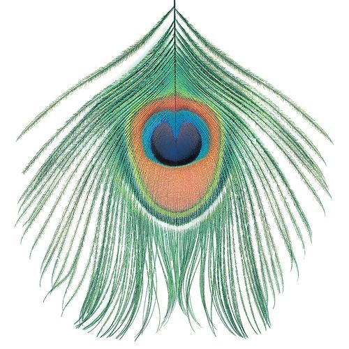 Apple Venus, Vol. 1
