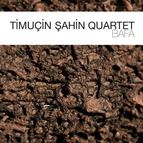 Timuçin Sahin Quartet