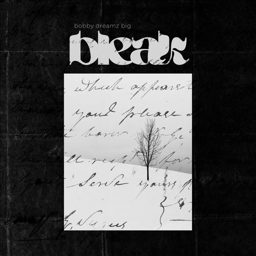 Bleak cover art