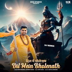 Dil Mein Bholenath (Dj Remix)-Fhs7AwYIAmI