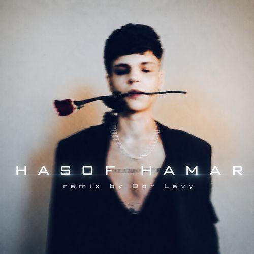 הסוף המר ((Dor Levy Remix))