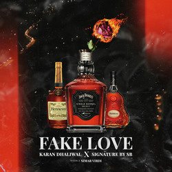 Fake Love-BVkxUz8EdGo