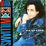 Fix of Love (The Big Fix)