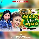 Gehu Me Kehu Ke Bolwale Badu Ka Ho