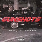 Gunshots
