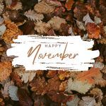Happy November