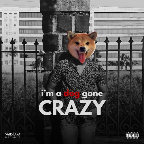 I'm A Dog Gone Crazy