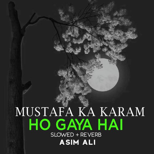 Mustafa Ka Karam Ho Gaya Hai Lofi