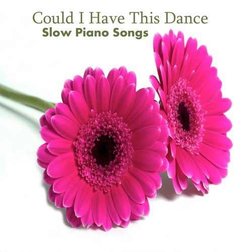 Slow Piano Songs: Could I Have This Dance