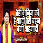 Teri Bhanej Ki Hai Shaadi Teri Behen Bani Shehzadi