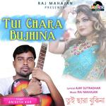 Tui Chara Bujhina