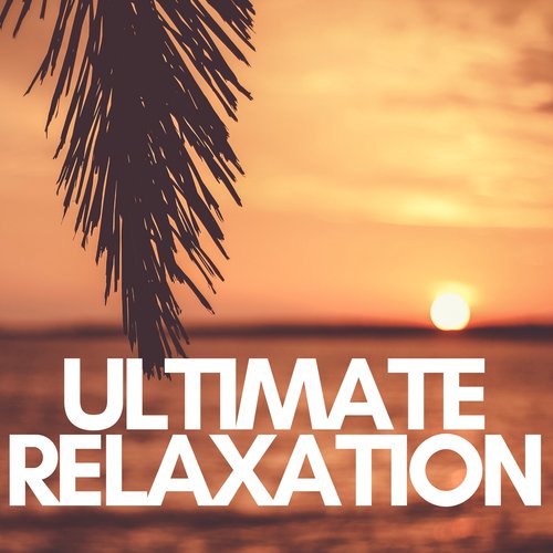 Ultimate Relaxation: Insomnia, Stress Management, Total Relax, Deep Sleep, Stress Relief