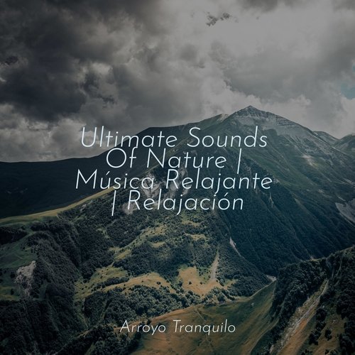 Ultimate Sounds Of Nature | Música Relajante | Relajación