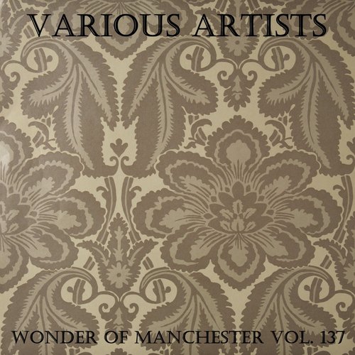 Wonder Of Manchester Vol. 137