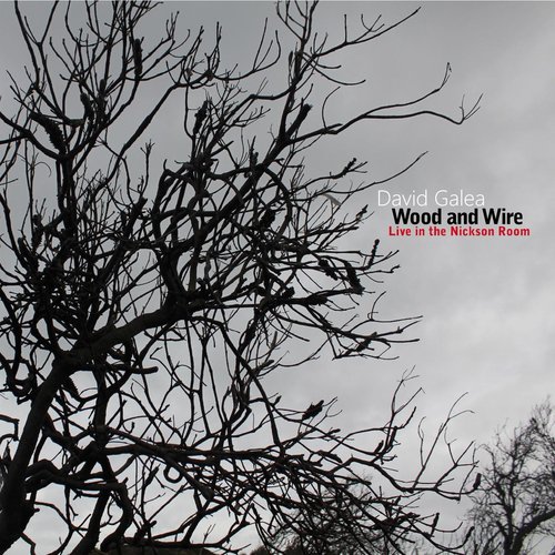 Wood and Wire (Live in the Nickson Room)