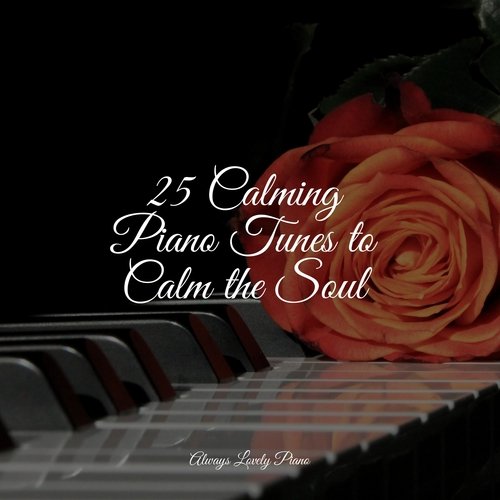 25 Calming Piano Tunes to Calm the Soul