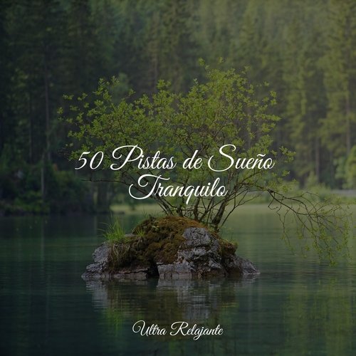 50 Pistas de Sueño Tranquilo_poster_image