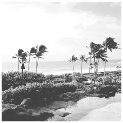 Are You Ready for It?